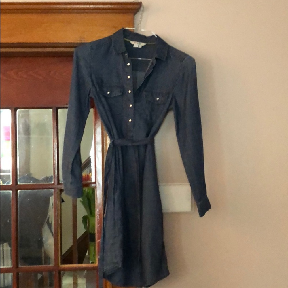 Boden Spring Denim Dress - Picture 3 of 3